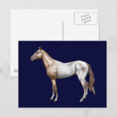 Nez Perce Horse Postkarte (Vorne/Hinten)