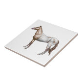 Nez Perce Pferd Fliese (Seite)