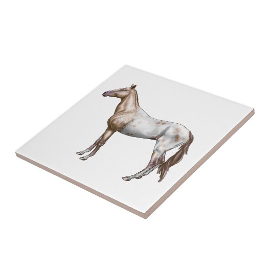 Nez Perce Pferd Fliese (Seite)