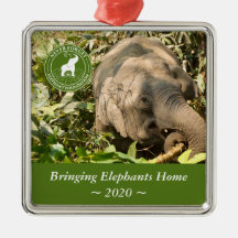 NFEF Square Ornament