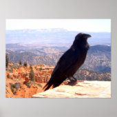 NG Crow Poster (Vorne)