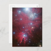 NGC 2264 und die Weihnachtsbaumgruppe Feiertagspostkarte (Vorne/Hinten)