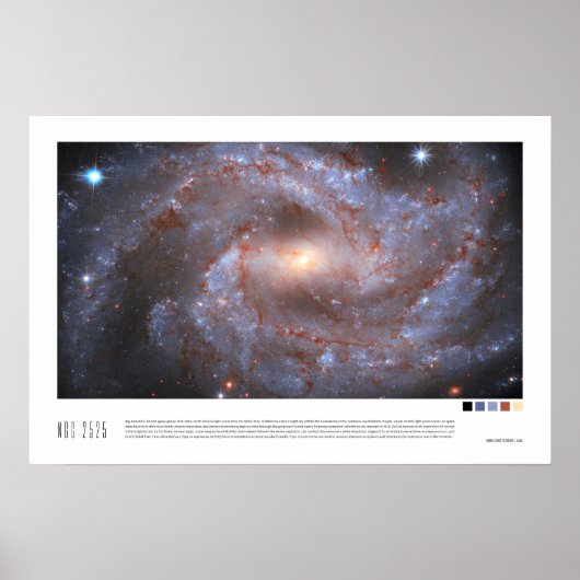 NGC 2525 (Hubble-Weltraumteleskop) Poster (Vorne)