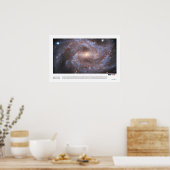 NGC 2525 (Hubble-Weltraumteleskop) Poster (Küche)
