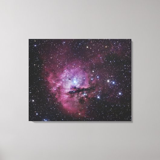 NGC 281, Emissionsnebel und Open Cluster in Cassi Leinwanddruck (Vorderseite)