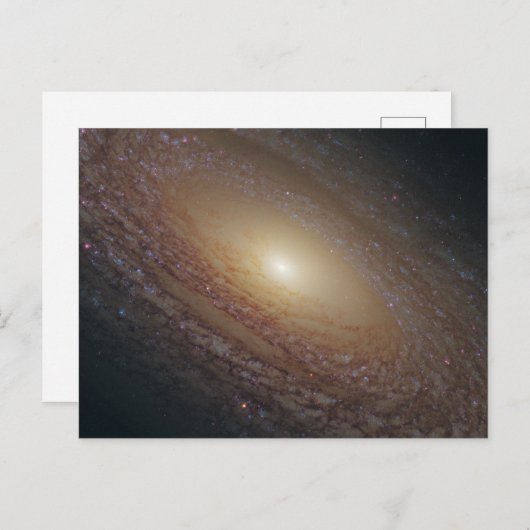 NGC 2841 POSTKARTE (Vorne/Hinten)
