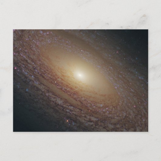 NGC 2841 POSTKARTE (Vorderseite)
