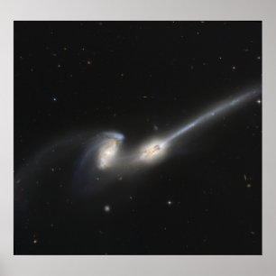 NGC 4676, auch bekannt als die Mäuseggalaxien Poster