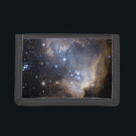 NGC 602 helle Sterne NASA Tri-fold Geldbeutel<br><div class="desc">NASA NGC 602 ist ein junger, heller, offener Sternhaufen in der Small Magellanic Cloud (SMC), einer Satellitengalaxie zur Milchstraße. Strahlung und Schockwellen von den Sternen haben einen Großteil des leichteren umgebenden Gases und Staubs, aus dem der Nebel N90 besteht, weggestoßen, und dies wiederum hat zu einer neuen Sternbildung in den...</div>