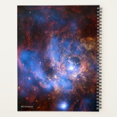 NGC 604 PLANER (Rückseite)