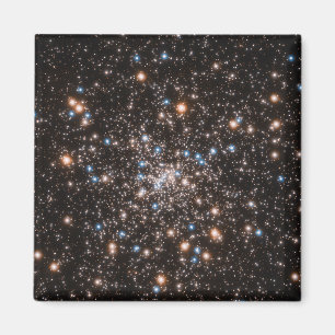 Ngc 6397 magnet