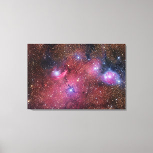 NGC 6559 Nebelfleck im Schützen Leinwanddruck