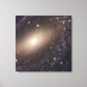 Ngc 6744, 30 Millionen Lichtjahre entfernt. Leinwanddruck