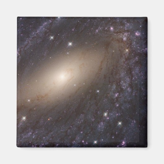 Ngc 6744, 30 Millionen Lichtjahre entfernt. Magnet (Vorne)