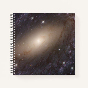 Ngc 6744, 30 Millionen Lichtjahre entfernt. Notizblock