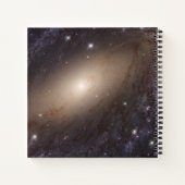 Ngc 6744, 30 Millionen Lichtjahre entfernt. Notizblock (Rückseite)