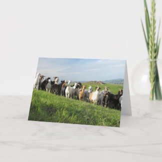 NGIP Grußkarten Karte