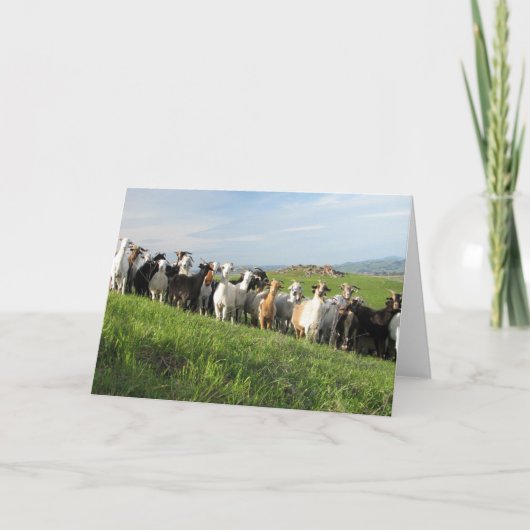 NGIP Grußkarten Karte (Vorderseite)