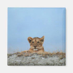 Ngorongoro-Krater, Tansania Magnet