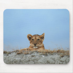 Ngorongoro Krater, Tansania Mousepad