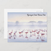 Ngorongoro Tansania Flamingos Postkarte (Vorne/Hinten)