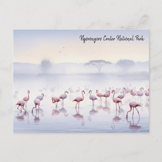 Ngorongoro Tansania Flamingos Postkarte (Vorderseite)