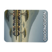 Ngorongoro Tansania Gnus Magnet (Horizontal)