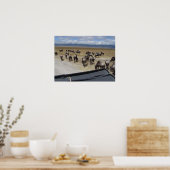 Ngorongoro Wildebeest Poster (Küche)