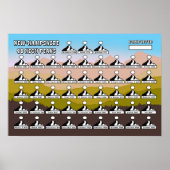 NH48-Spitzenplakat Poster (Vorne)