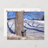 NH-Ahorn-Zuckersaft-Eimer im Schnee Postkarte (Vorne/Hinten)