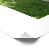 NH Gnarled Tree Fotodruck (Ecke)