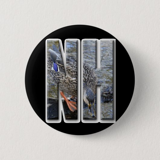 NH NEW HAMPSHIRE BUTTON (Vorderseite)