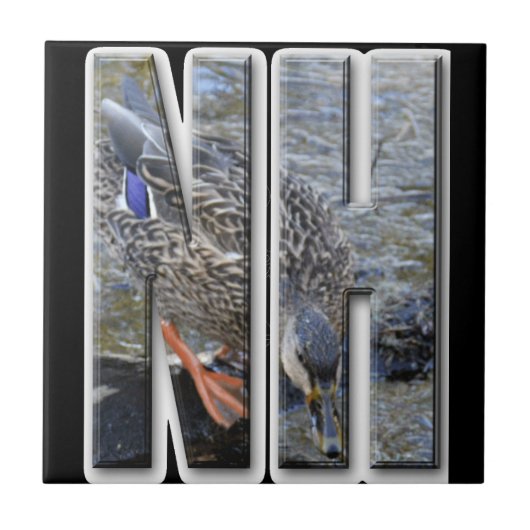 NH NEW HAMPSHIRE FLIESE (Vorderseite)