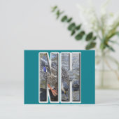 NH NEW HAMPSHIRE POSTKARTE (Stehend Vorderseite)