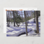 NH Sap Buckets Postkarte (Vorne/Hinten)