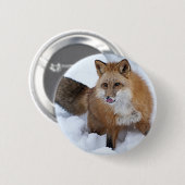 Ni roten Fox der Schnee Button (Vorne & Hinten)