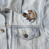 Ni roten Fox der Schnee Button (Beispiel)