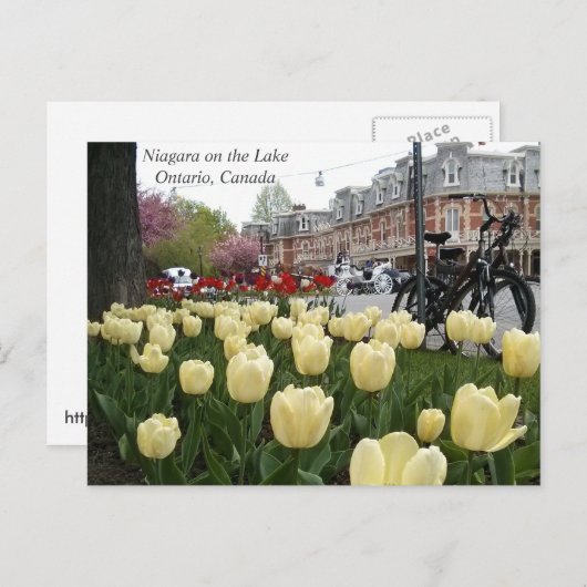 Niagara auf dem See Postkarte (Vorne/Hinten)