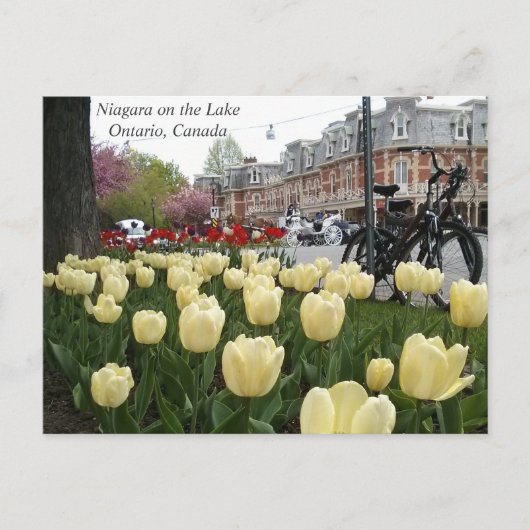 Niagara auf dem See Postkarte (Vorderseite)