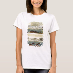 Niagara Falls, 1818 (Farbstich) T-Shirt