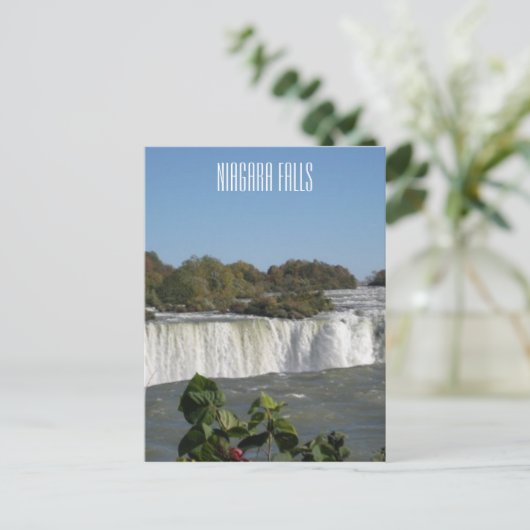 Niagara Falls Fotograf Postkarte (Stehend Vorderseite)