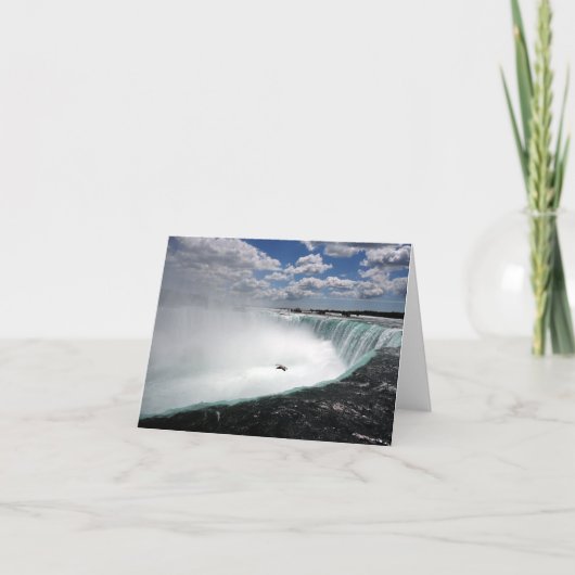 Niagara Falls mit Seagull (Vorderseite)