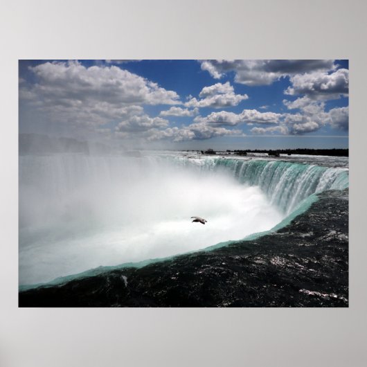 Niagara Falls mit Seagull Poster (Vorne)