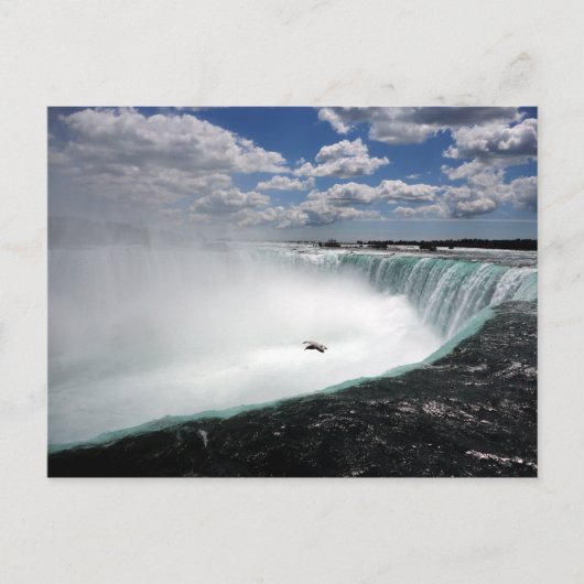 Niagara Falls mit Seagull Postkarte (Vorderseite)