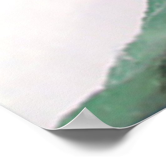 Niagara Falls New York Foto Views Poster (Ecke)