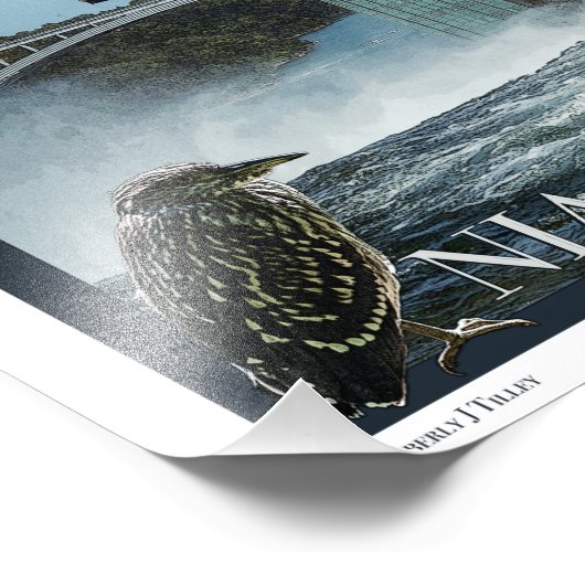 Niagara Falls Poster (Ecke)