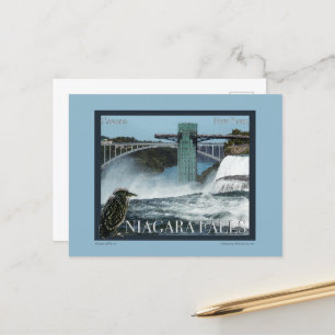 Niagara Falls Poster Postkarte