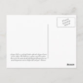 Niagara Falls USA 21 Postcard Postkarte (Rückseite)