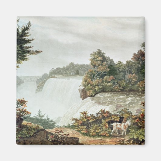 Niagara Falls, von Goat Island Magnet (Vorne)