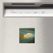 Niagara Magnet (In Situ (Geschirrspüler))